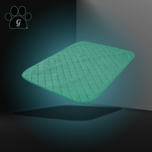 pet training pad in dark green