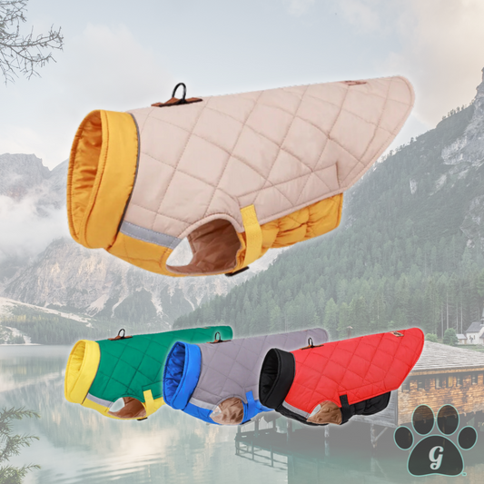 quilted waterproof coat harness available in 4 colors