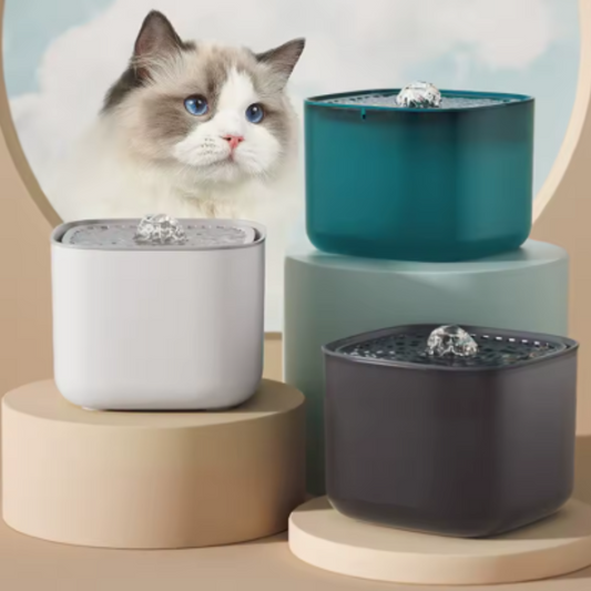 pet water fountain shown in 3 colors