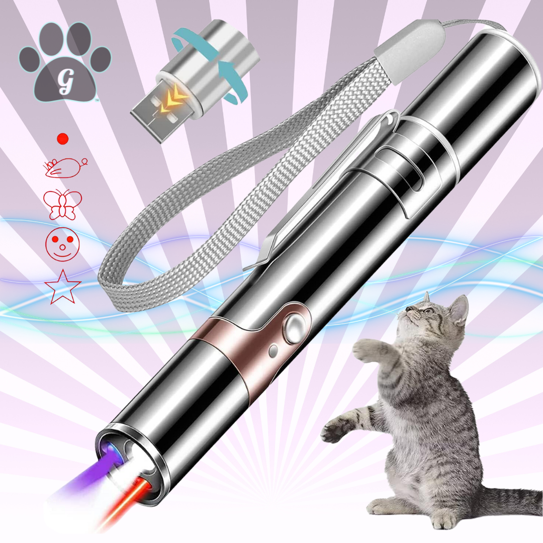 Pet laser pointer best sale