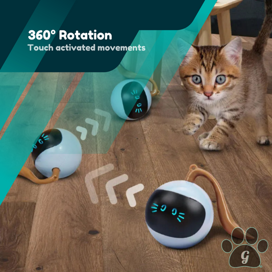 360 degree rotation and touch activated movements