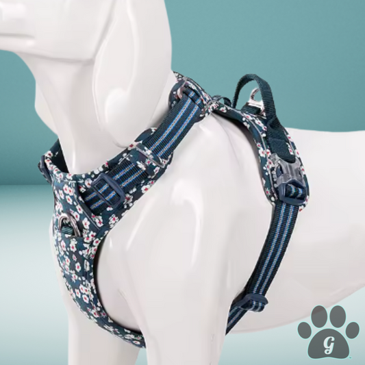 dog mannequin wearing harness