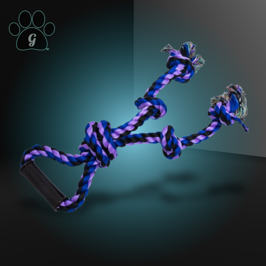 purple and blue braided rope toy with handle and 2 knotted ends