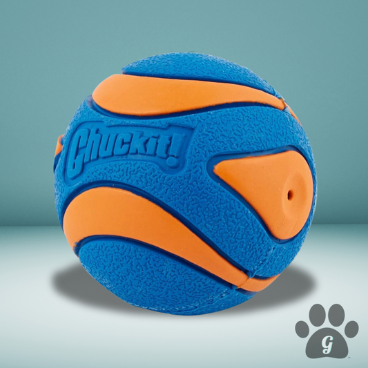 detailed look at orange squeaking dog ball toy