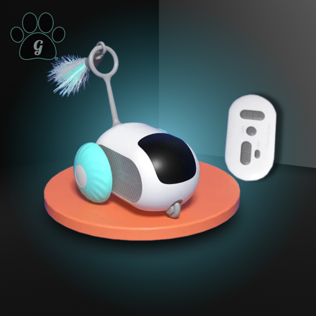 blue interactive cat toy with remote control