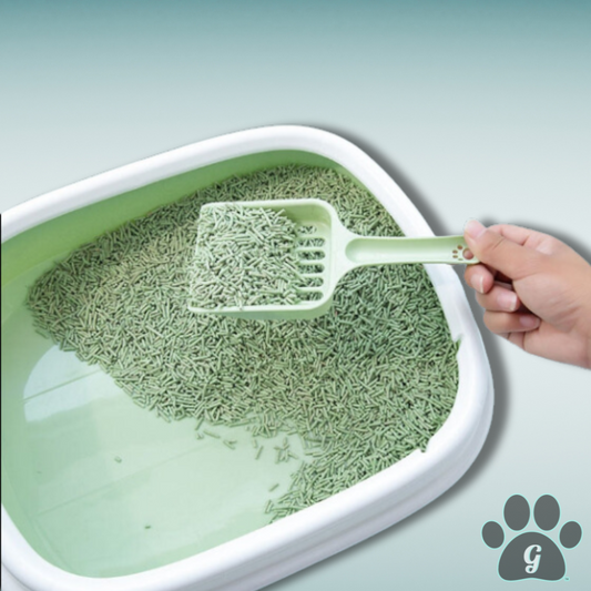 detailed look at litter basin with litter