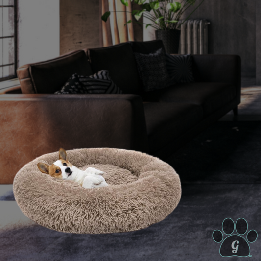 small dog laying in plush pet donut bed