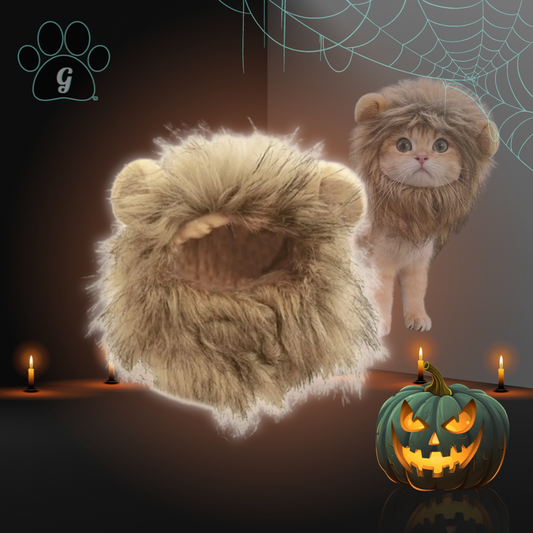 Lion mane small pet costume
