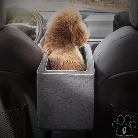 small dog sitting inside pet carrier set atop the center console in a vehicle