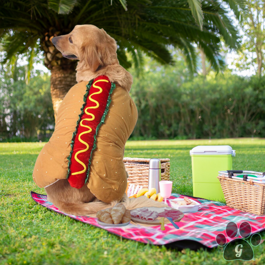 golden retriever wearing hot dog costume sitting at a picnic