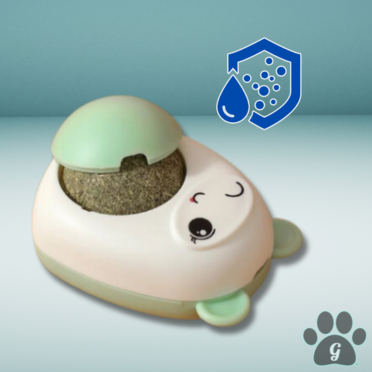 Moisture proof design with removable cap