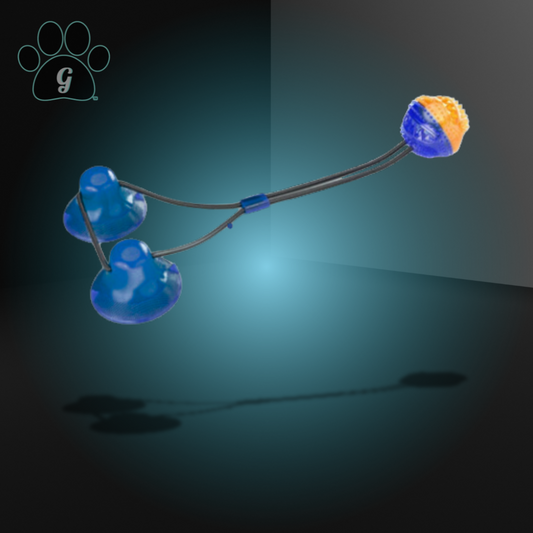 blue skipping ball chew toy with suction cups