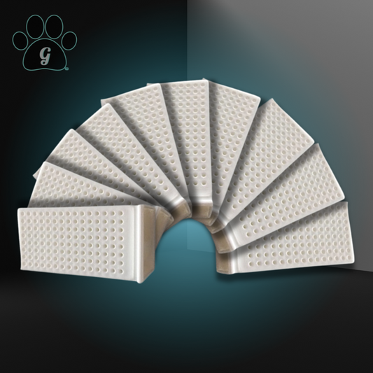 10 pack of fountain filters