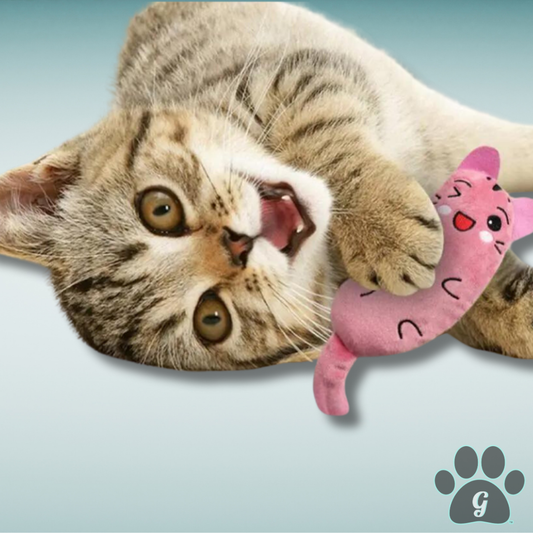 cat playing with pink catnip plush toy
