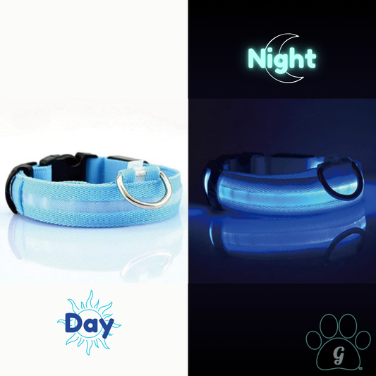 FIORA Weather Resistant LED Dog Collar