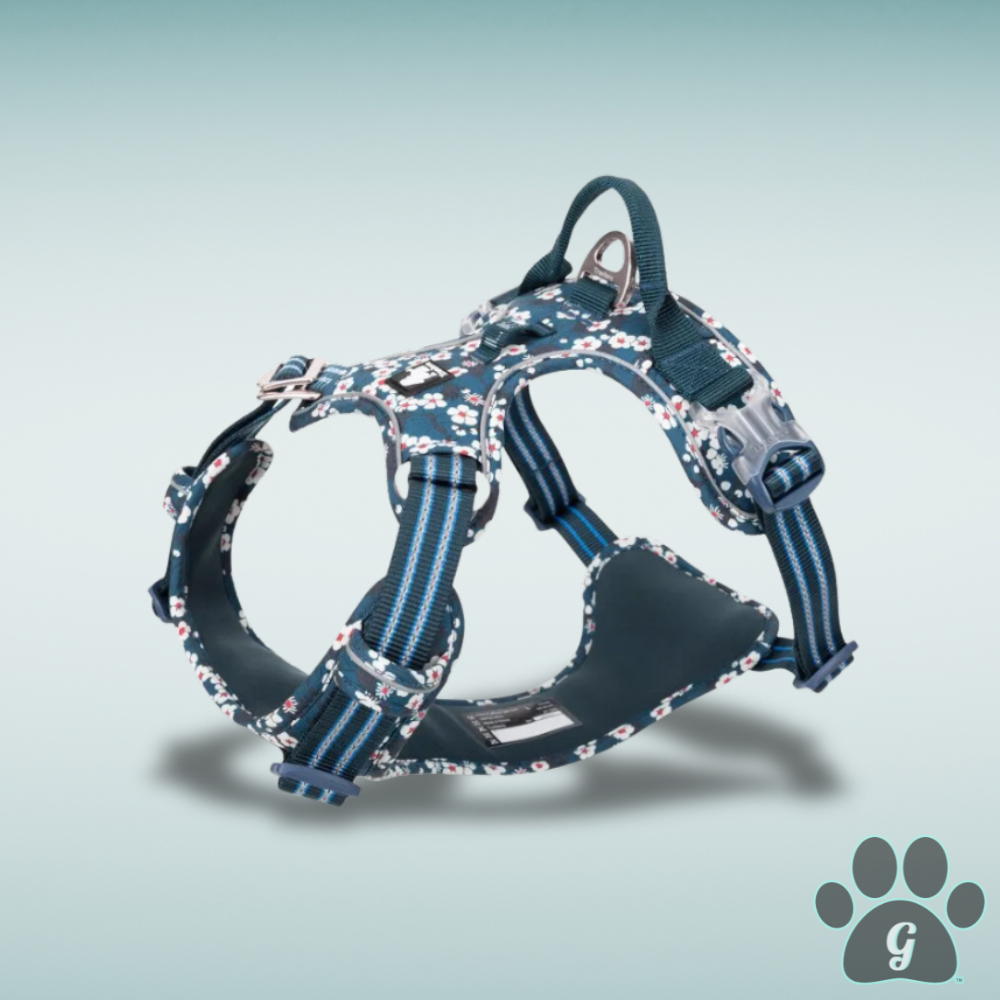 navy blue dog harness with daisy print