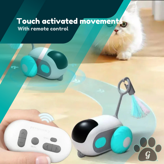 touch activated movements with remote control