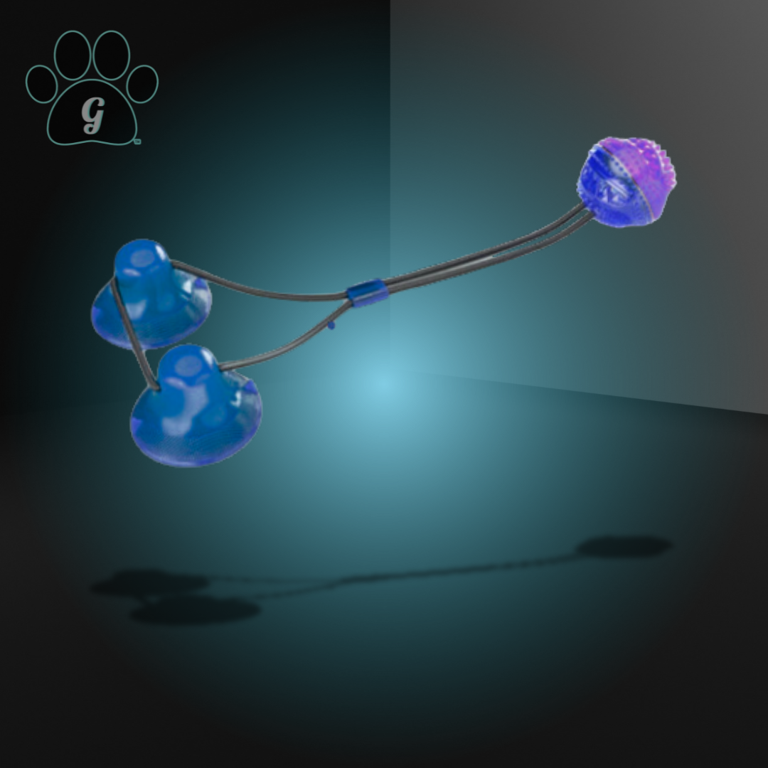 purple skipping ball chew toy with suction cups