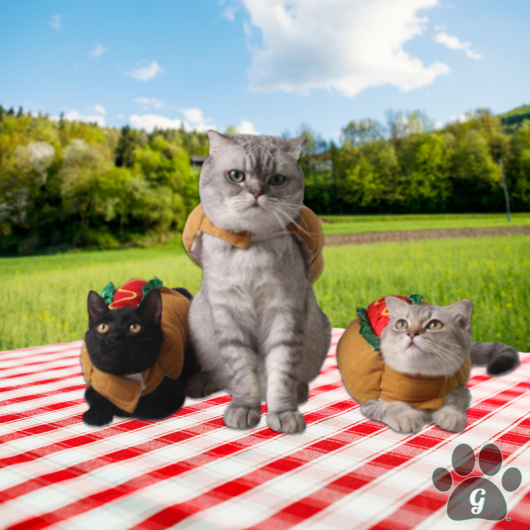 3 cats wearing hot dog costumes on a picnic blanket