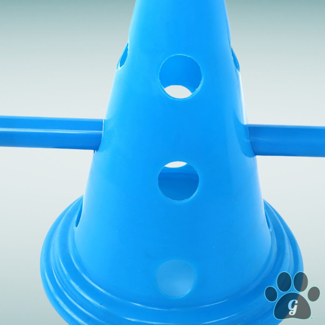 close up of cone