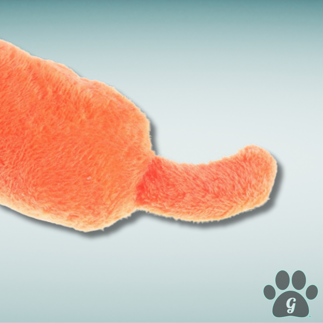 close up of orange tail