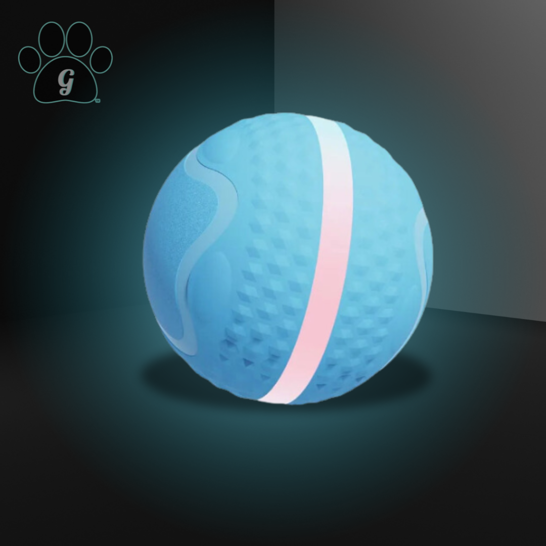 blue large blue interactive dog ball toy