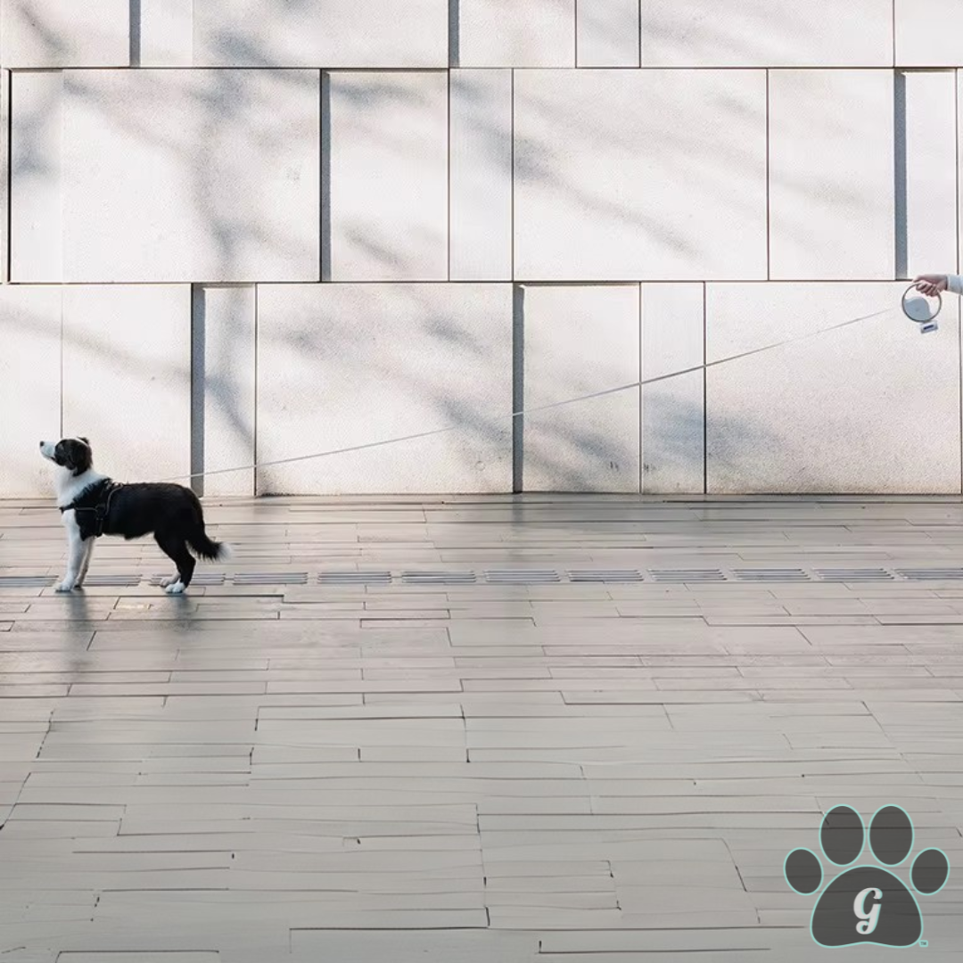 full length view of telescopic capabilities