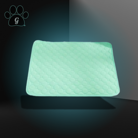 reusable pet training pad in light green