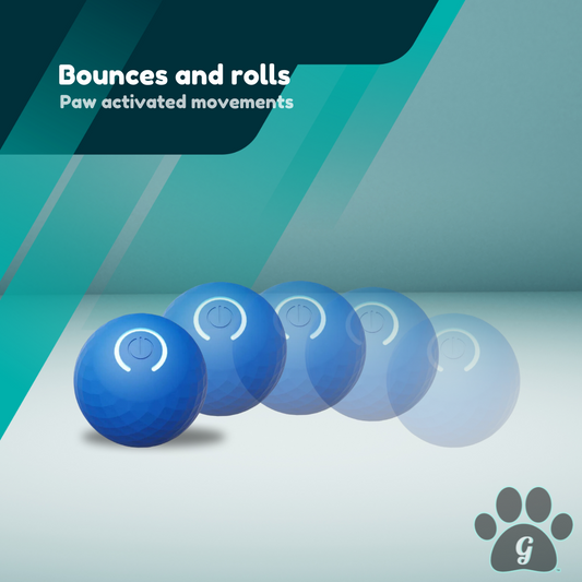 bounces and rolls