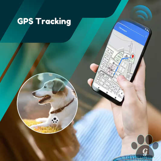 GPS tracking