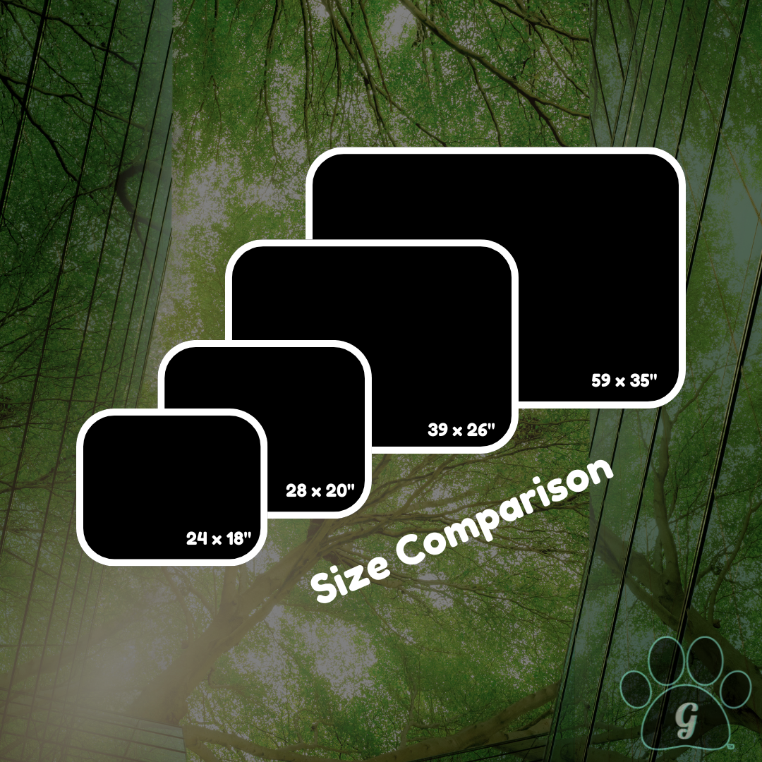 size comparison