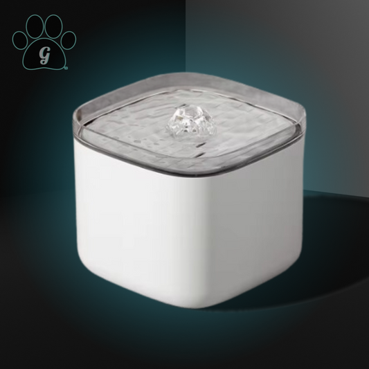 white pet water fountain with transparent splashguard