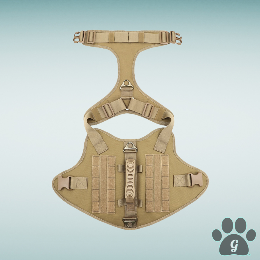 top view of unfastened harness