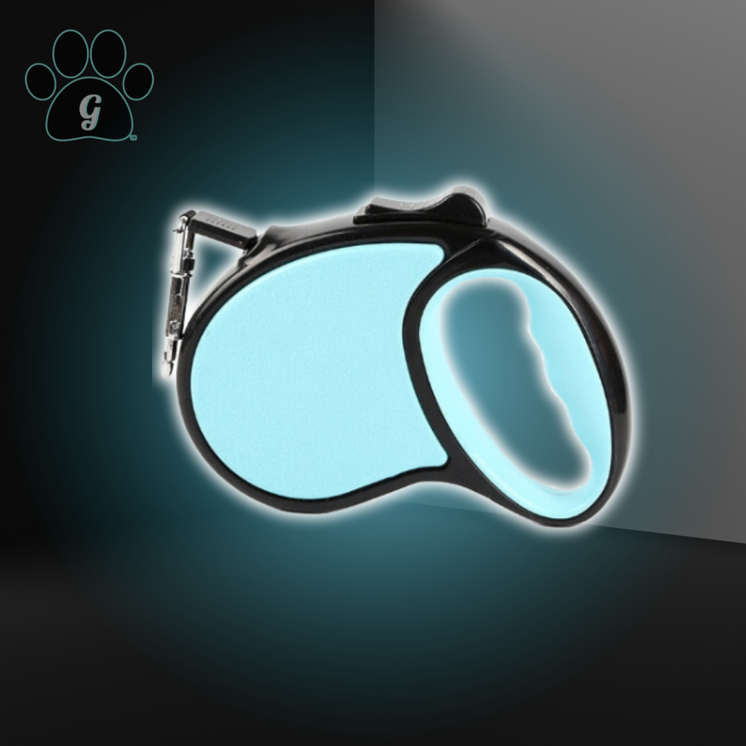 sky blue retractable leash