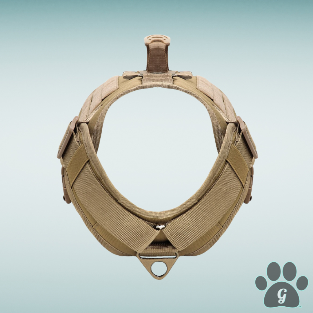 front view of fastened harness