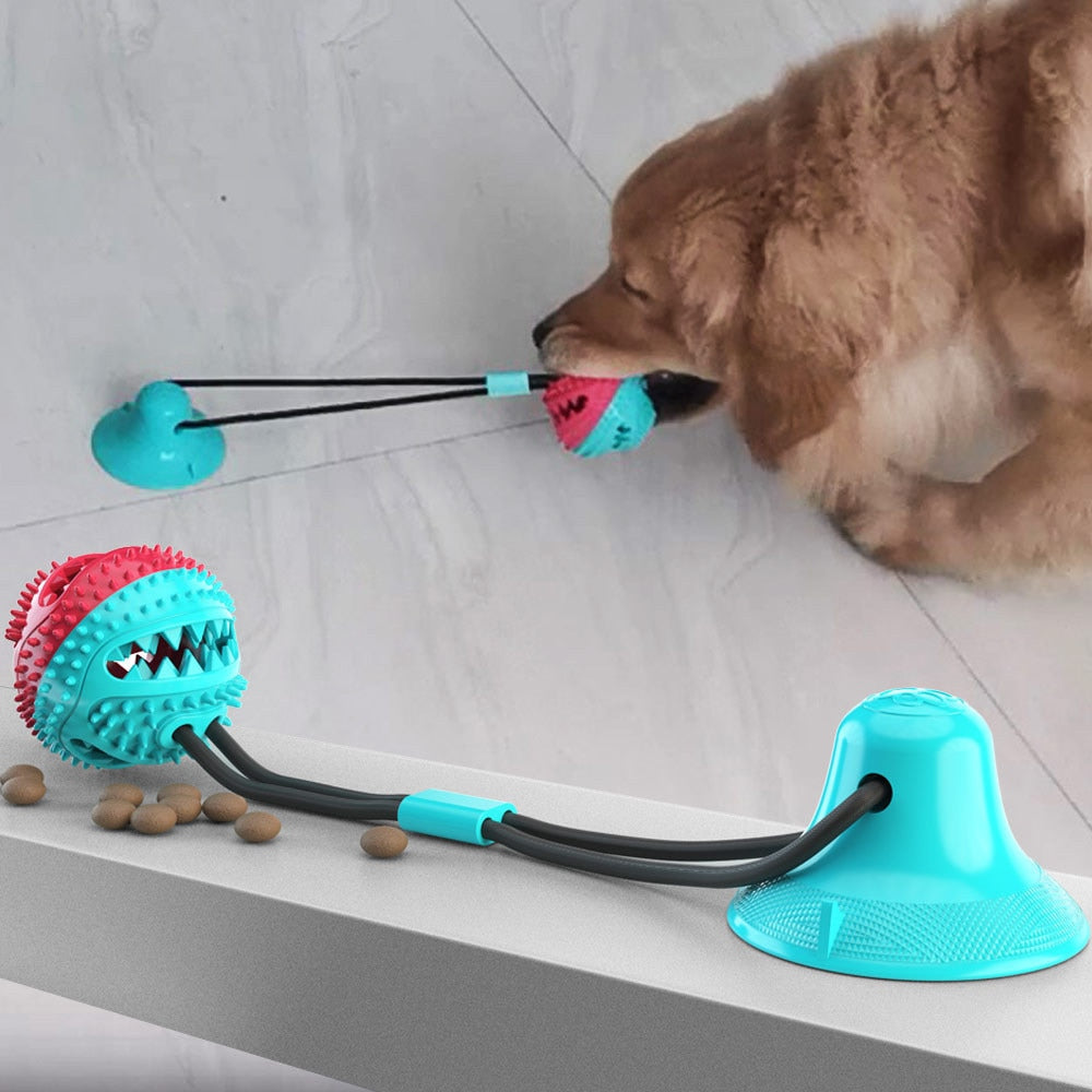 Golden retriever dog playing with skipping ball chew toy shown in turquoise