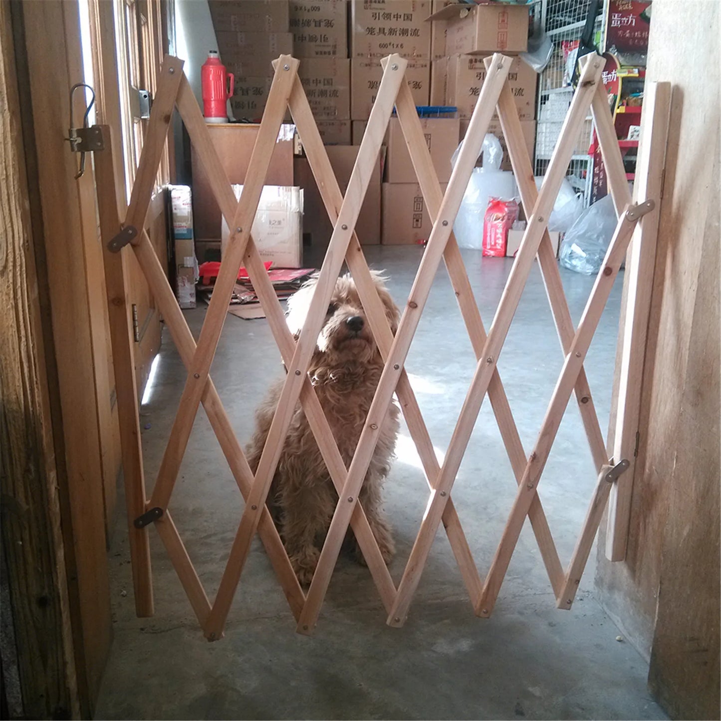 wooden accordion fence with dog behind it used in a garage