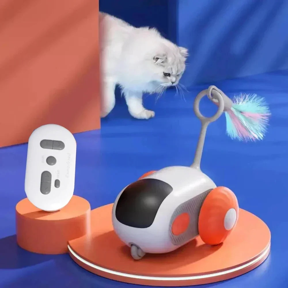 product show with cat in background