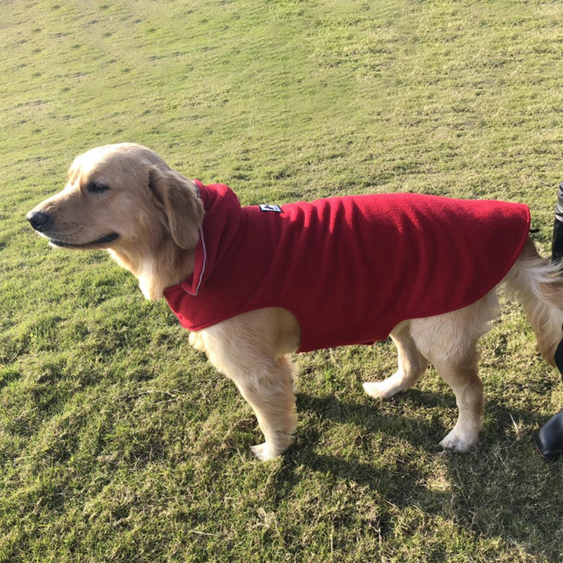 golden retriever wearing fleece warming coat in wine red