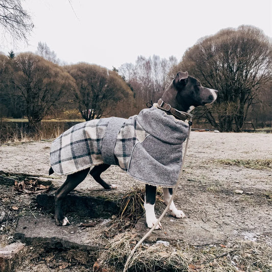 pit bull dog wearing cozy winter dog coat shown in gray lattice