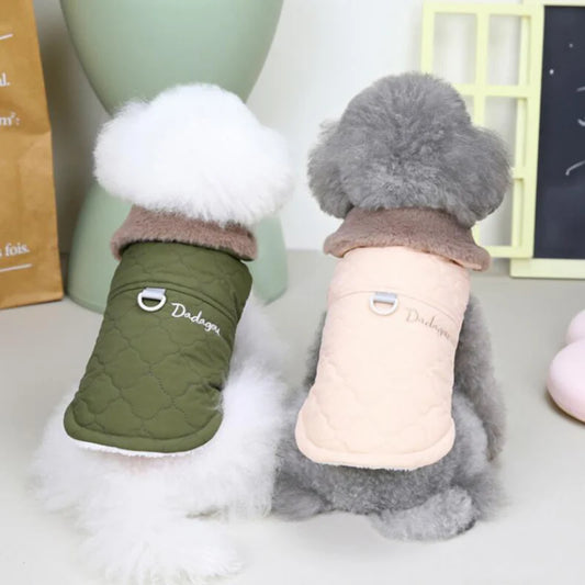 small dogs wearing olive green and pink coats