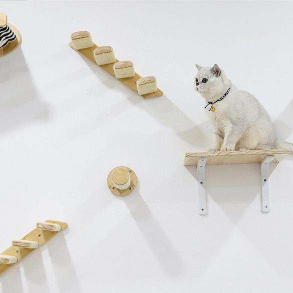 cat sitting on wooden ledge