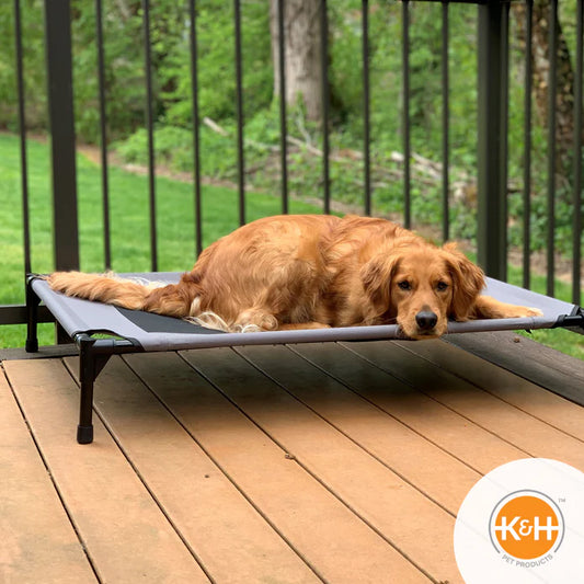 K&H Original 50" Elevated Cooling Cot Dog Bed
