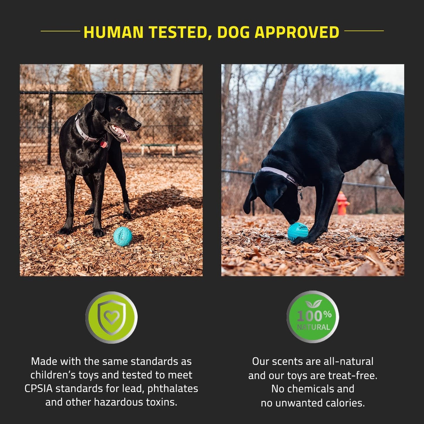 human tested and dog approved