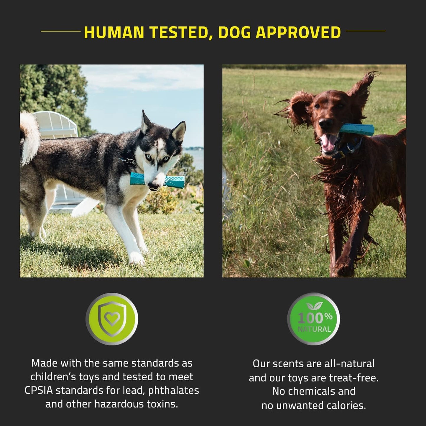 human tested and dog approved