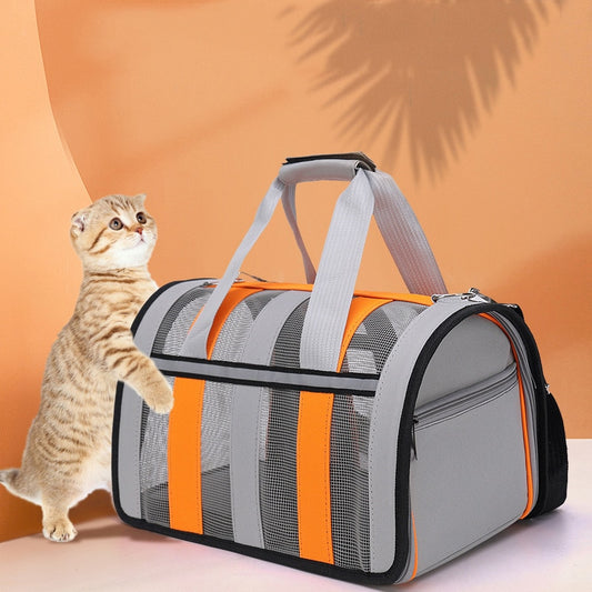 Gray and orange cat hugging bag