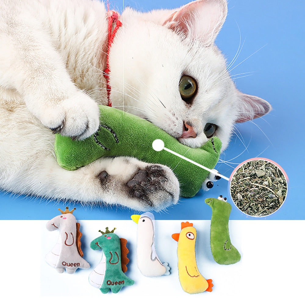 Plush & Catnip Toys