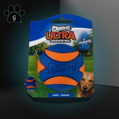 blue and orange dog ball toy