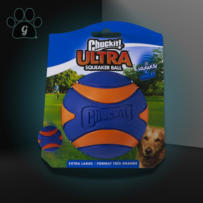 blue and orange dog ball toy