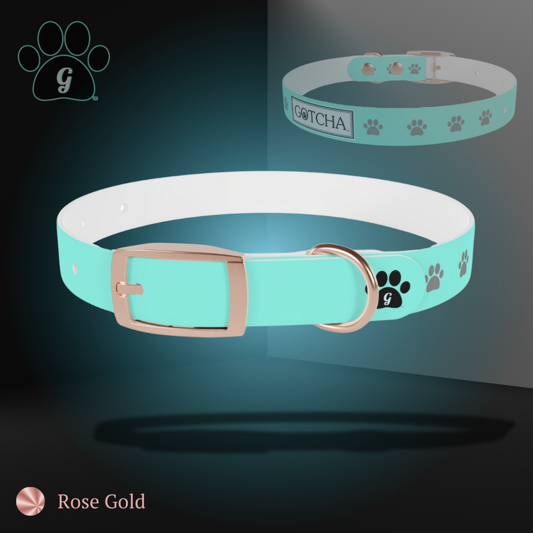 dog collar in rose gold finish